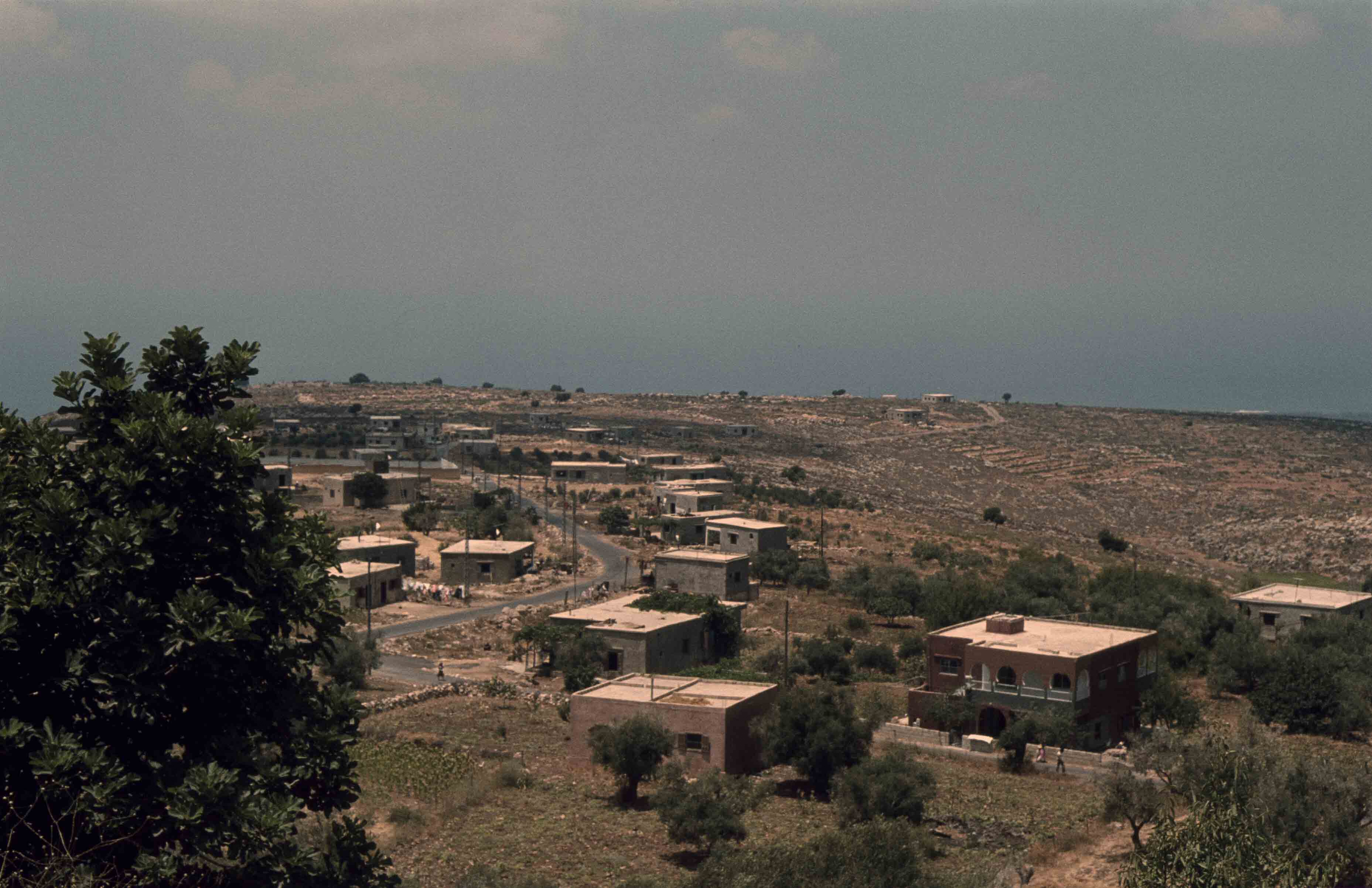 238. Libanon