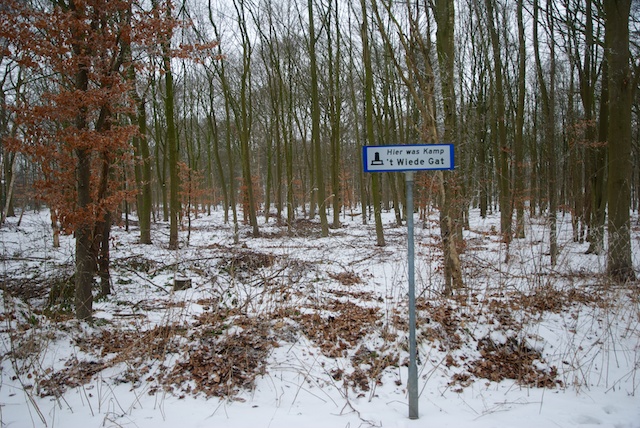 25. Kamp