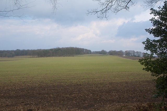 29. Landelijk
