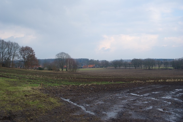 30. Landelijk