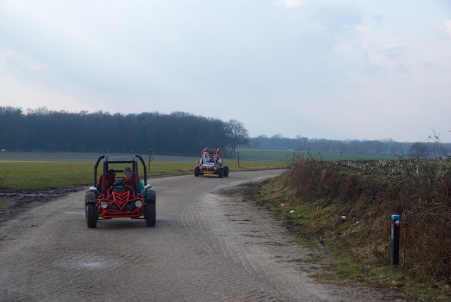 31. Buggies