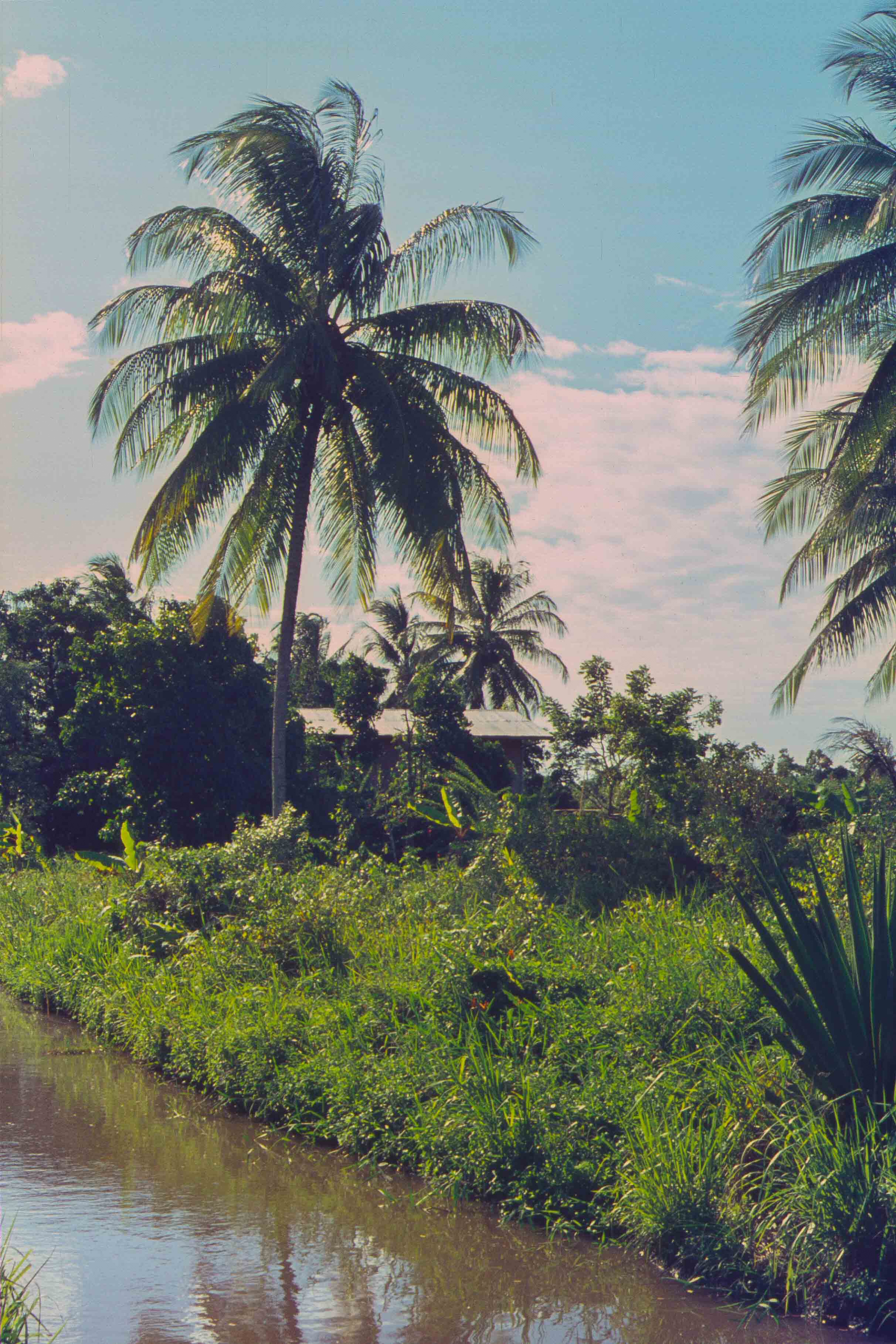 330. Suriname