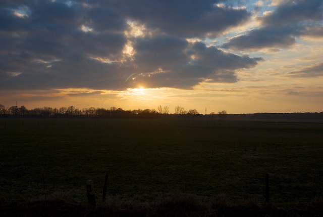 37. Zon