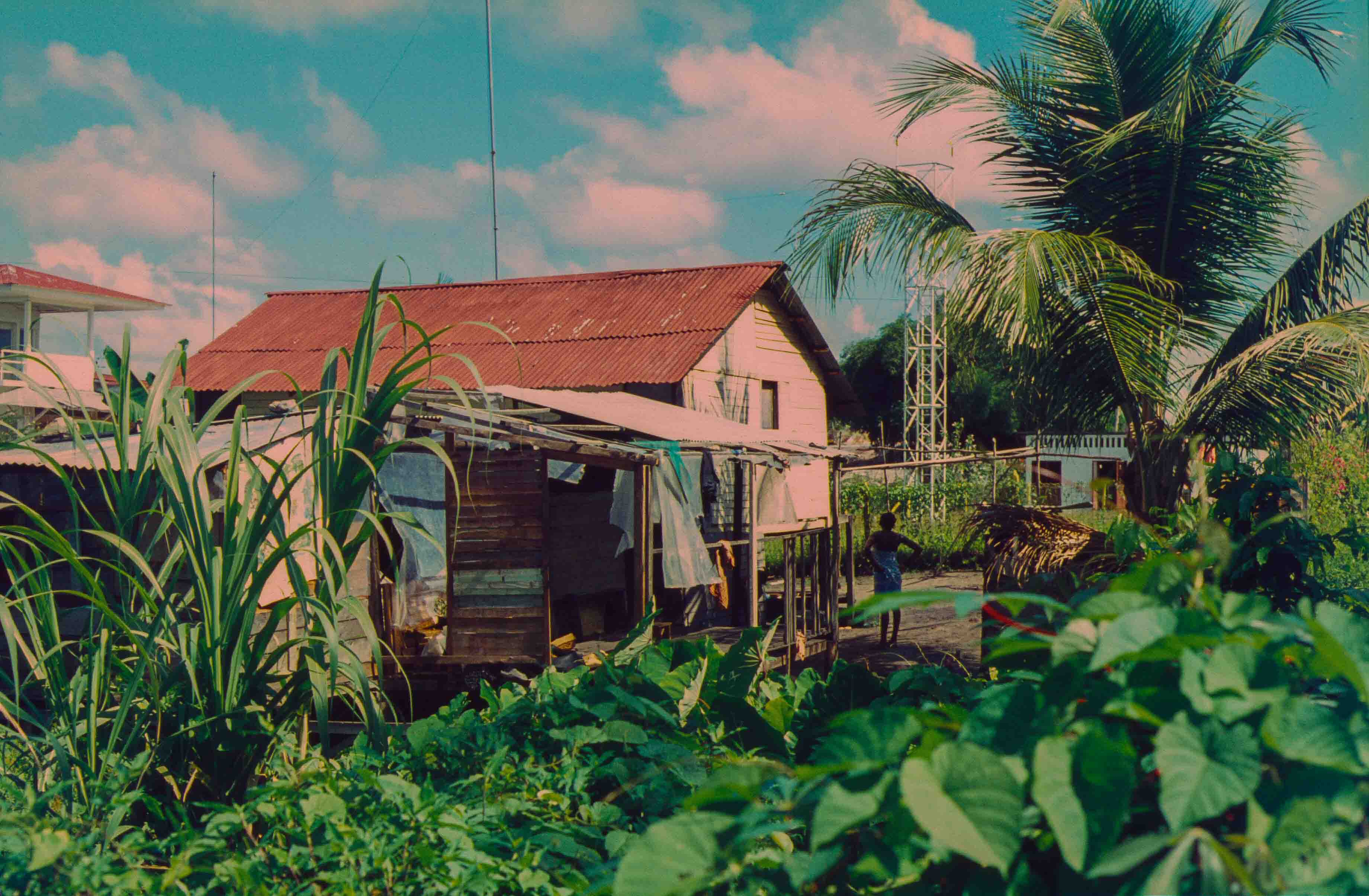 439. Suriname