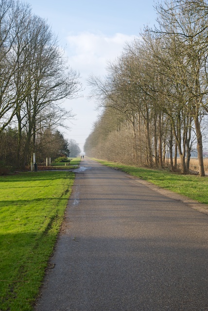 52. Mammouthweg*