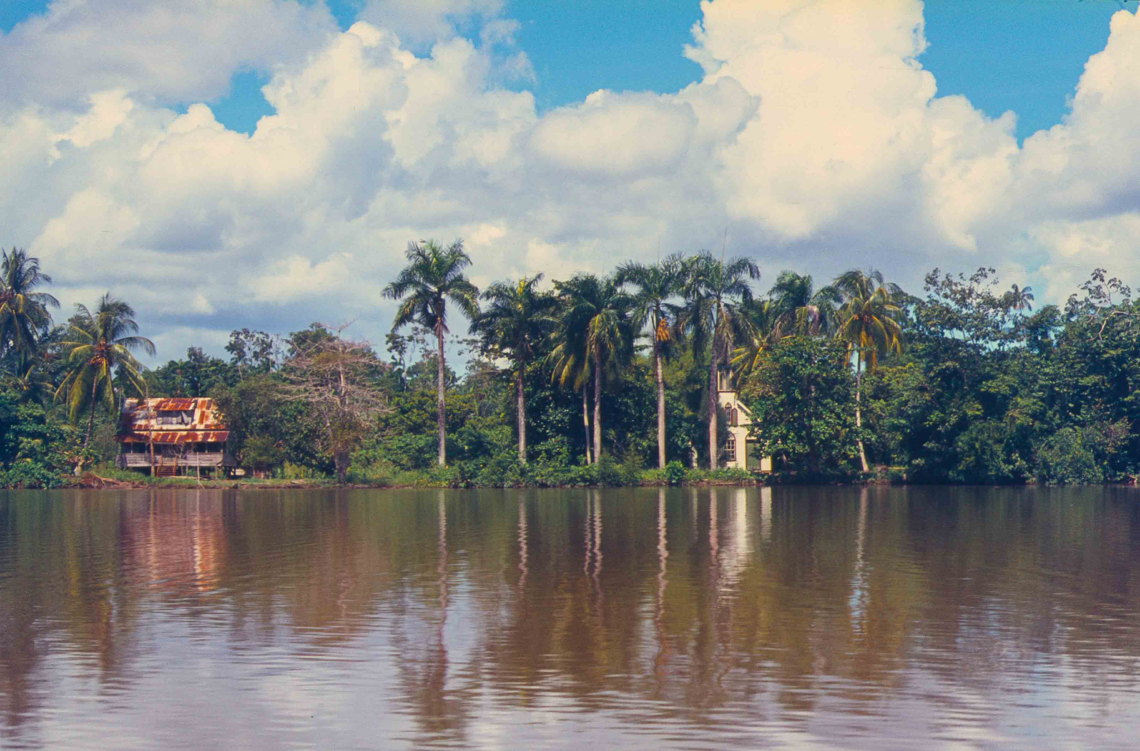 545. Suriname