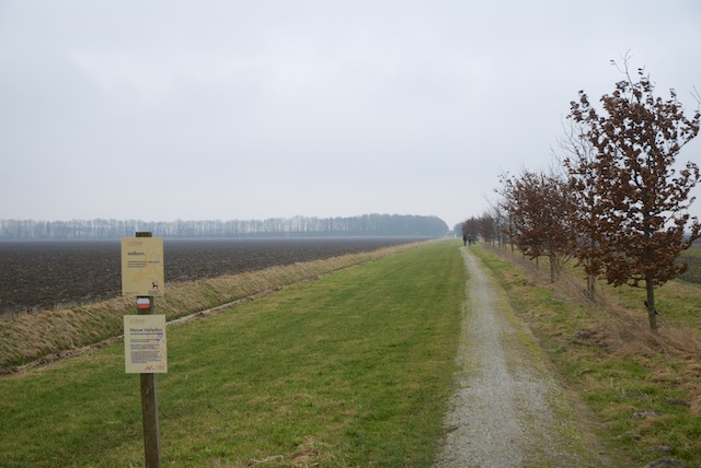 14. Schelpen