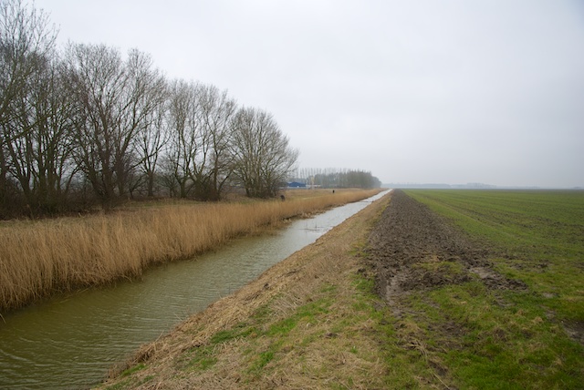 15. Meerkoetenweg