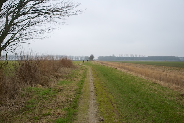 16. Schelpen