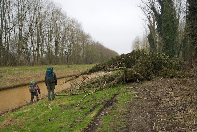 20. Bomen