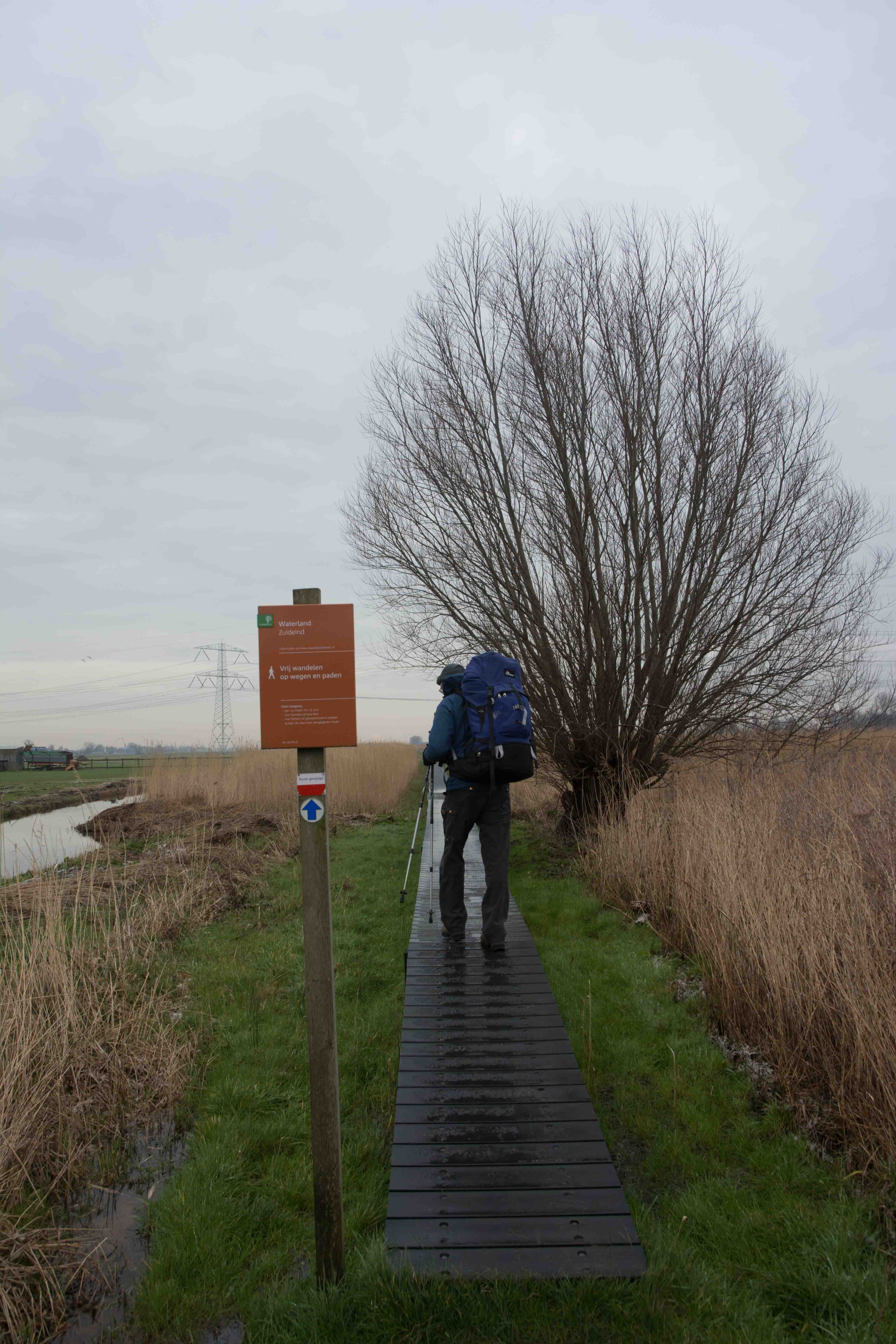 30. Plankenpad