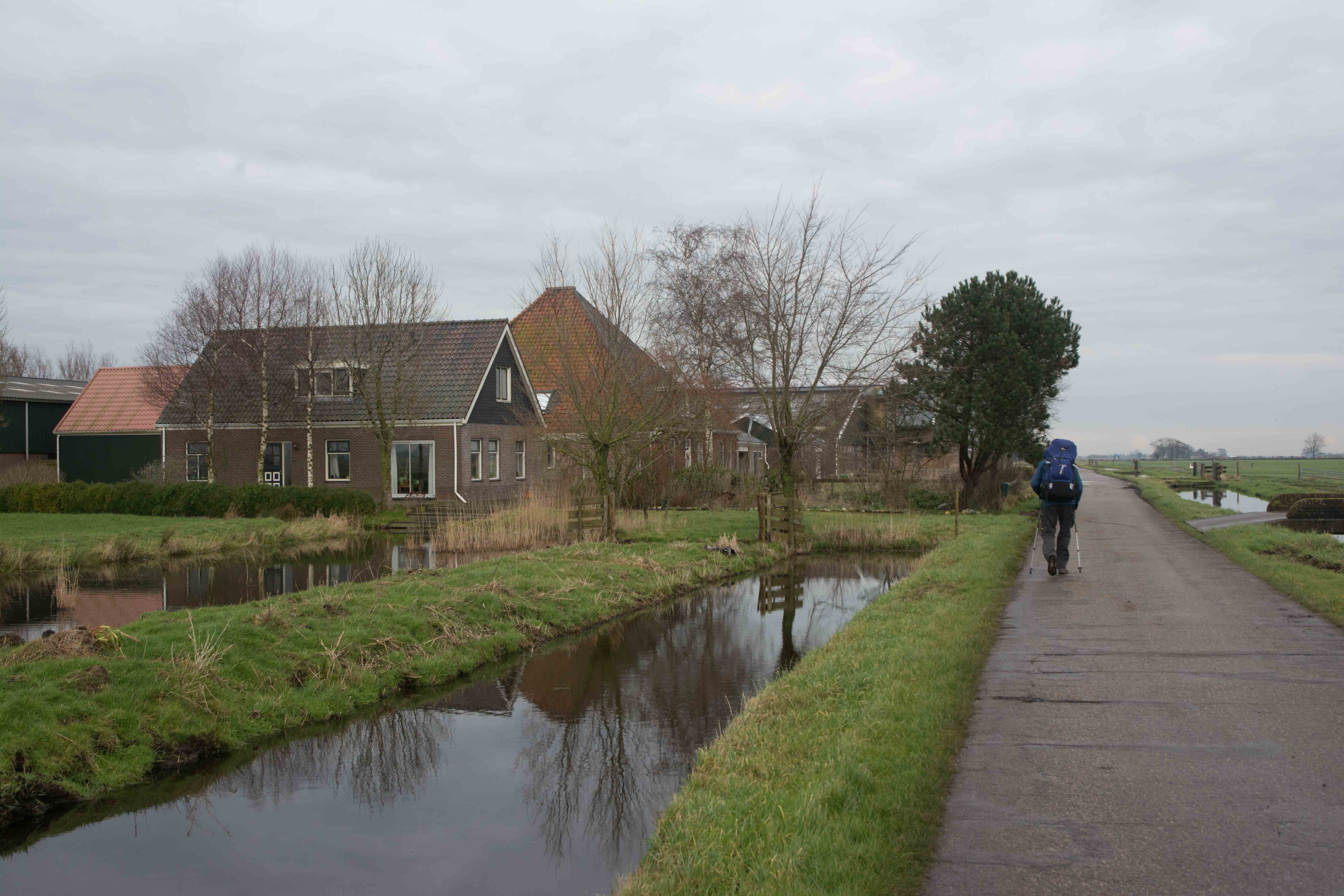 45. Poppendammergouw