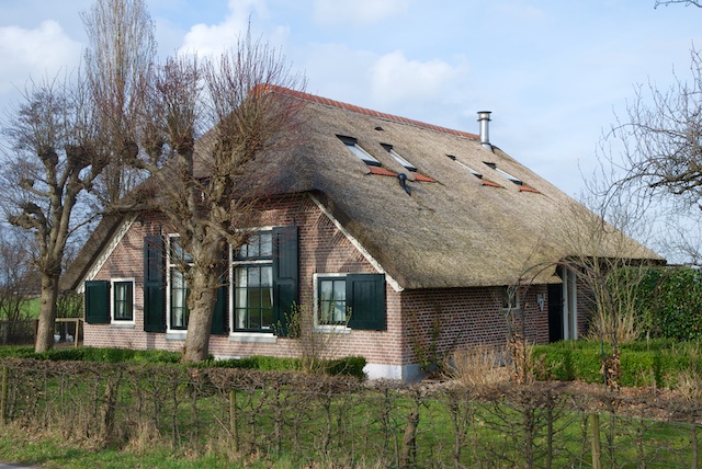 49. Boerderij