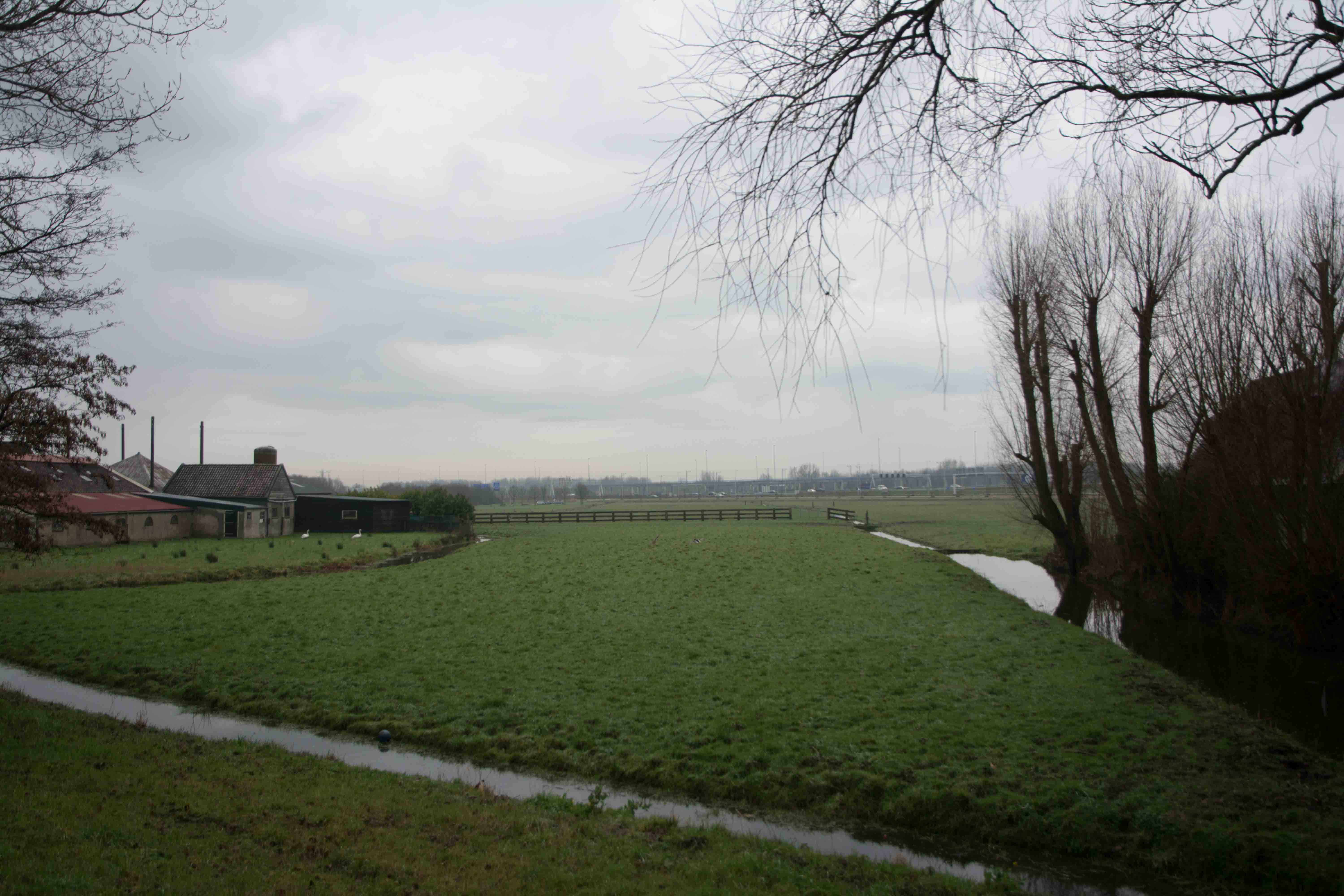 5. Bewolkt