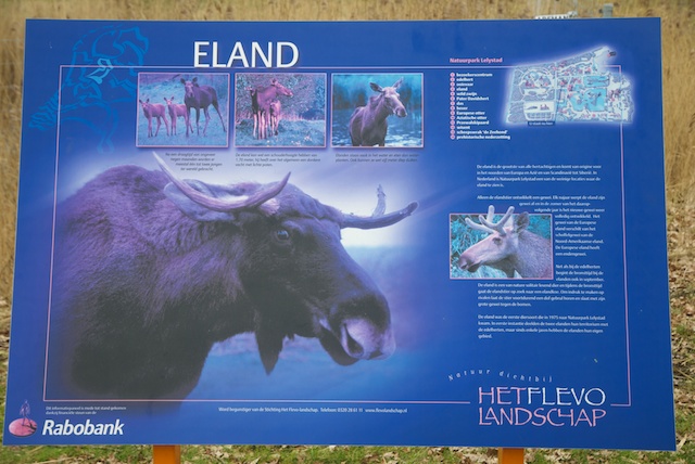 5. Eland