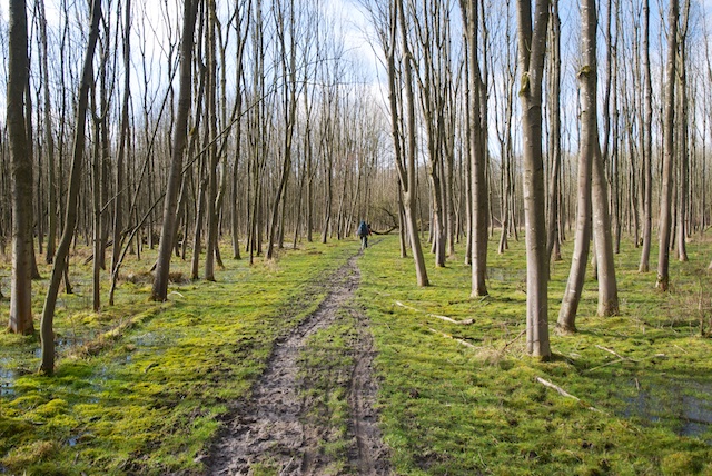 52. Hulkensteinse Bos