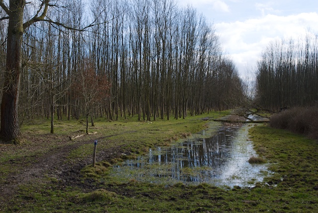 53. Hulkensteinse Bos