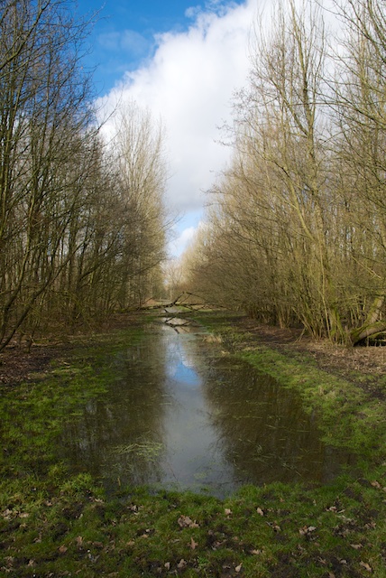 54. Hulkensteinse Bos