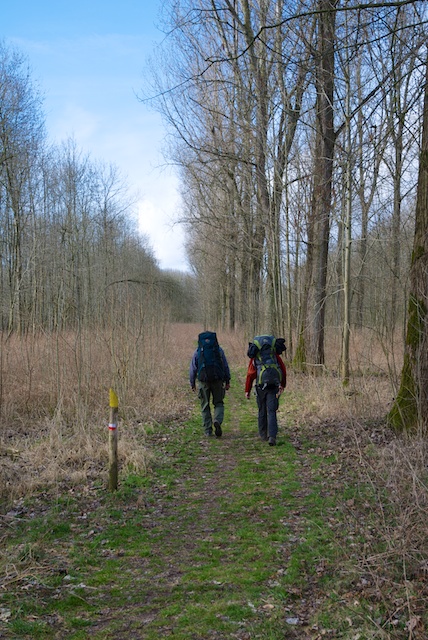 55. Hulkensteinse Bos