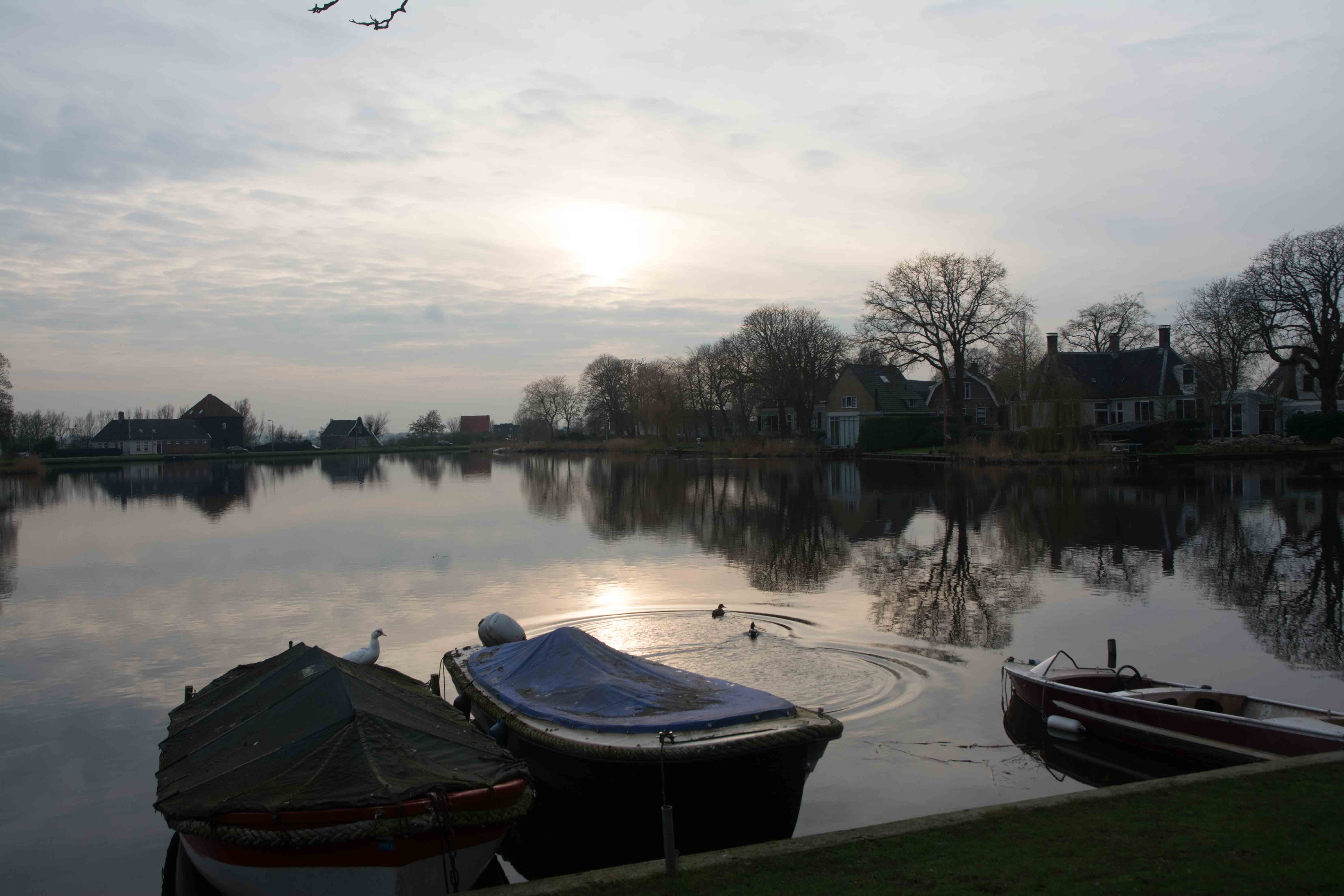 62. Broek in waterland
