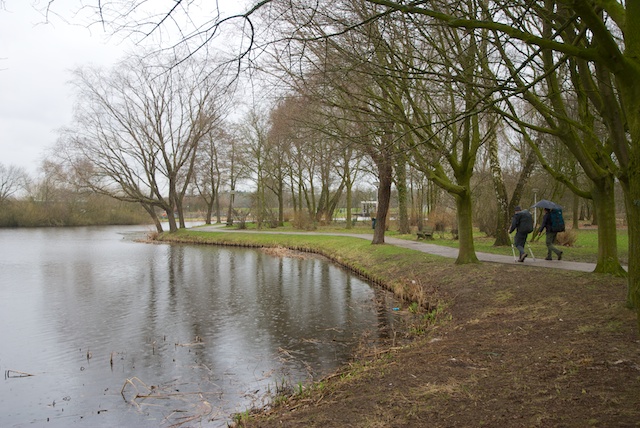 7. Park