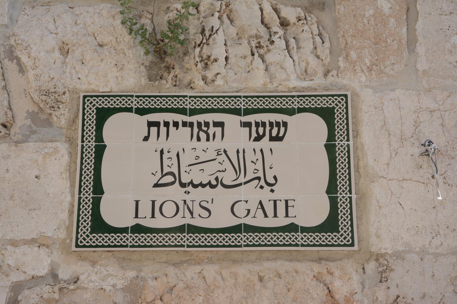 157. Lions poort