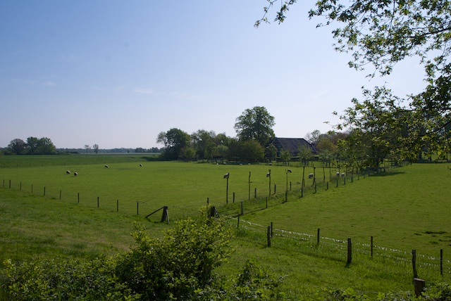37. Landelijk