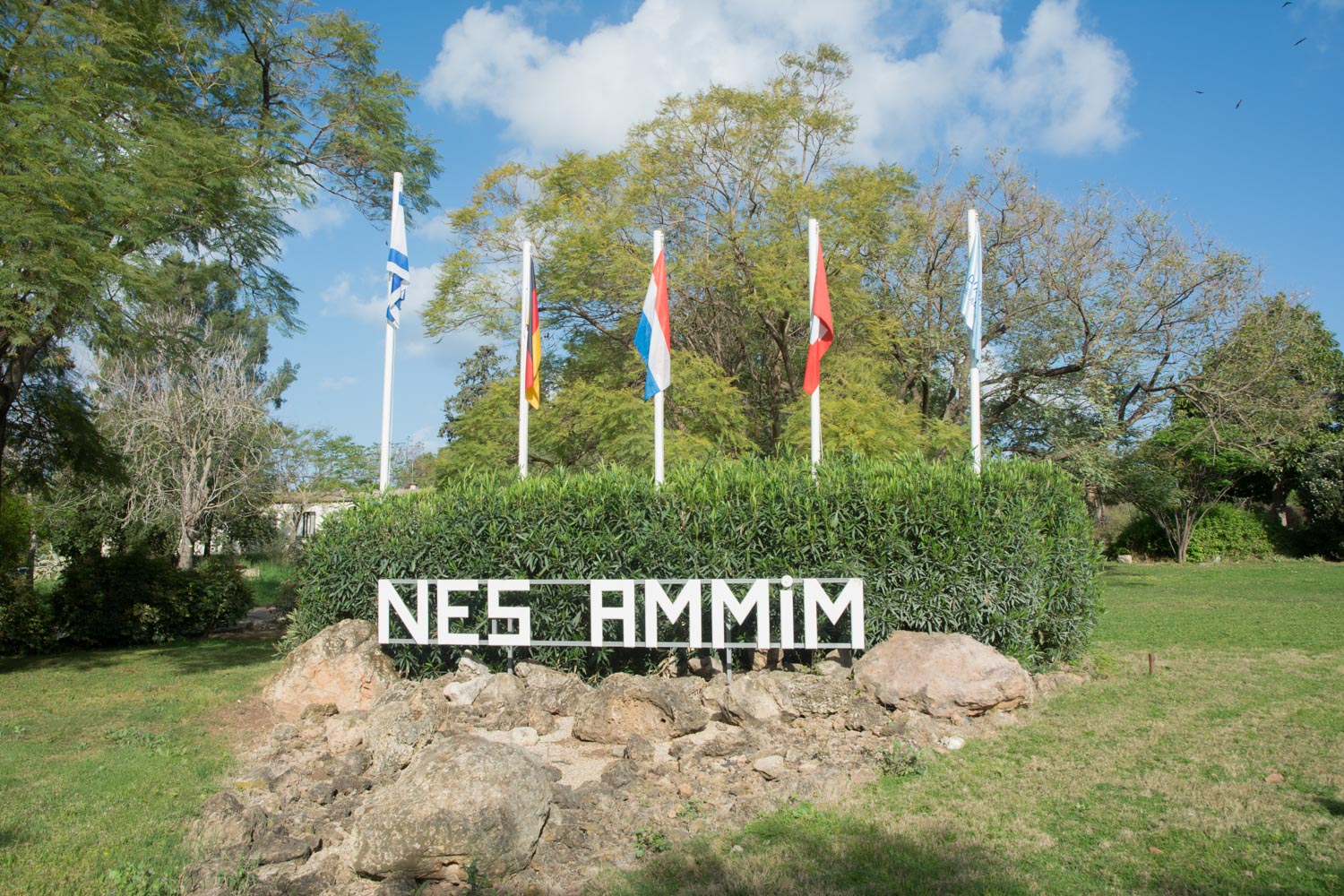 494. Nes Ammim