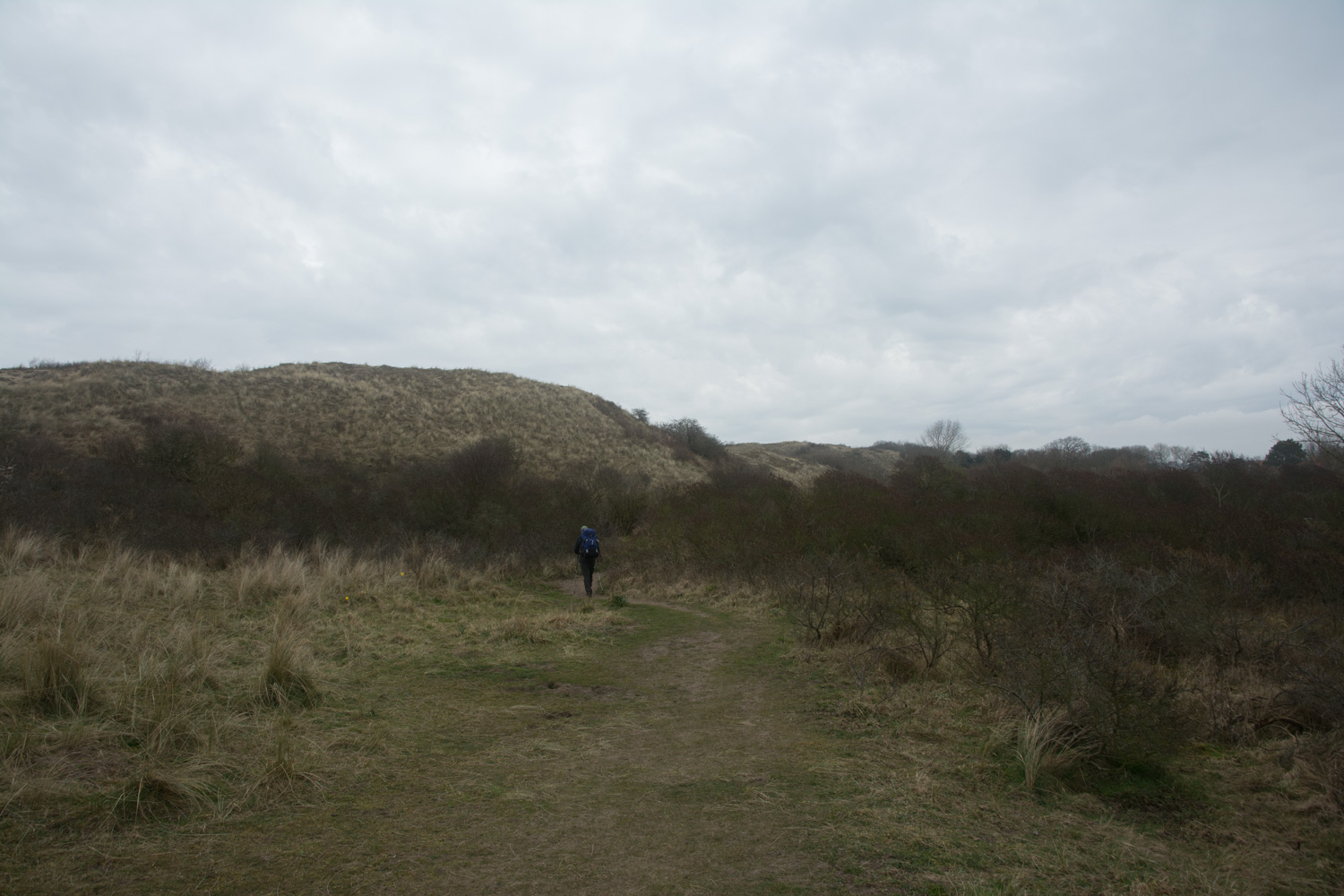 102. Duinen