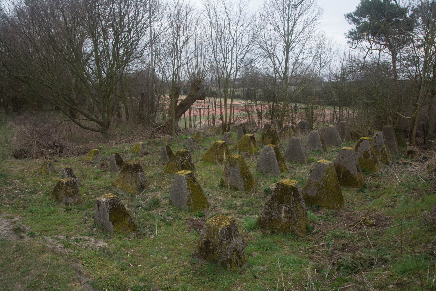 106. Drakentanden