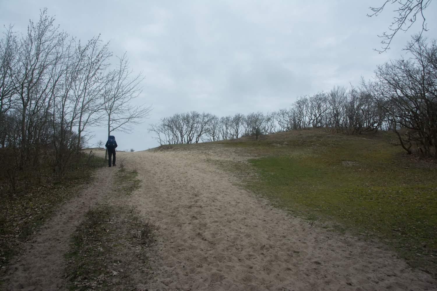 112. Duinen