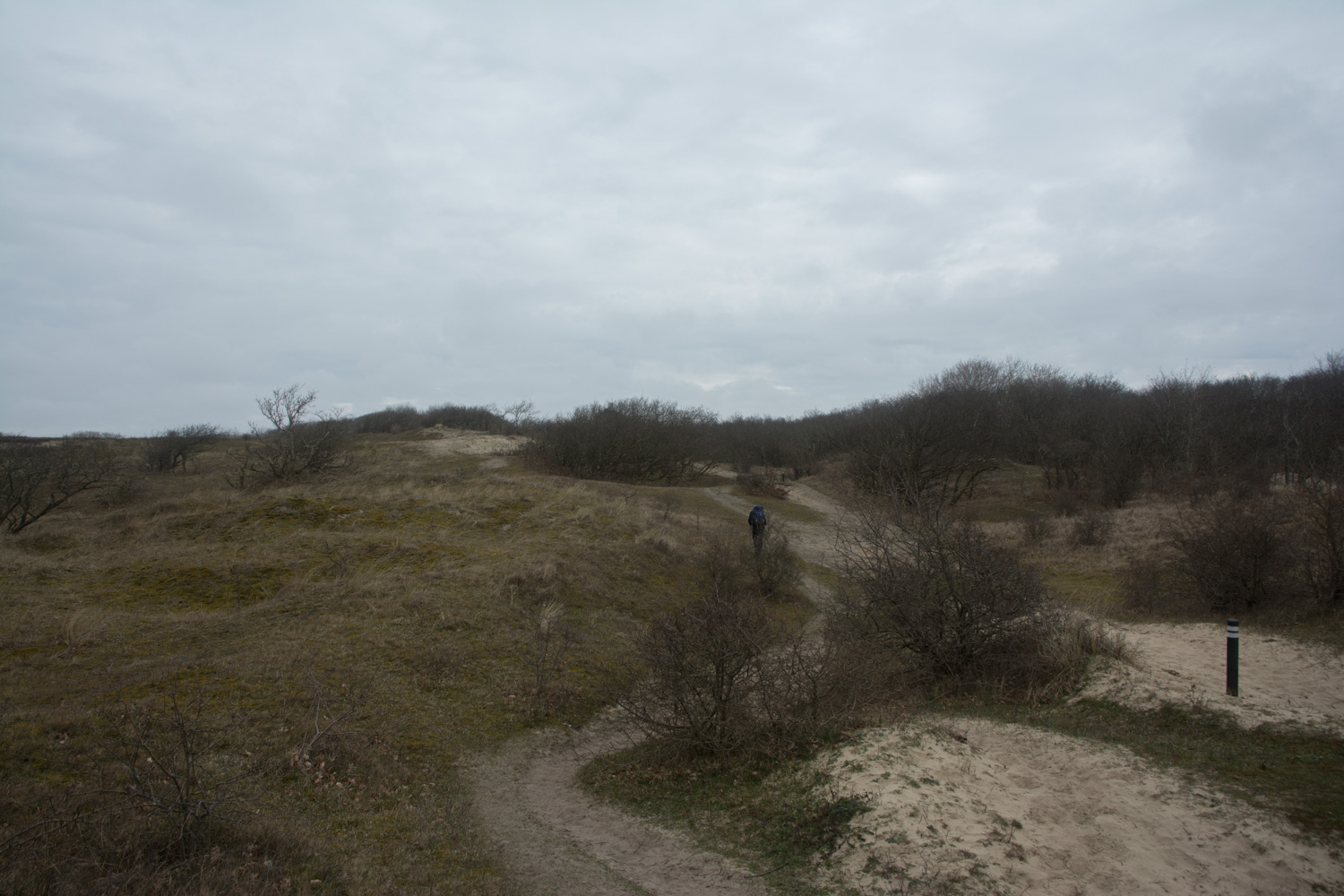 113. Duinen