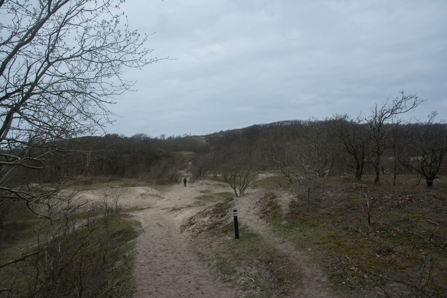 115. Duinen