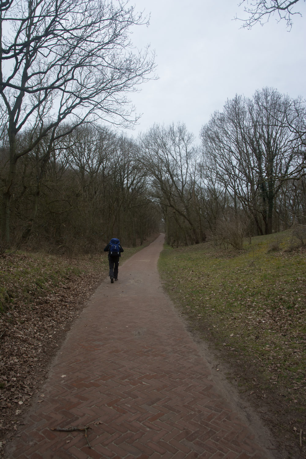 116. Duinen