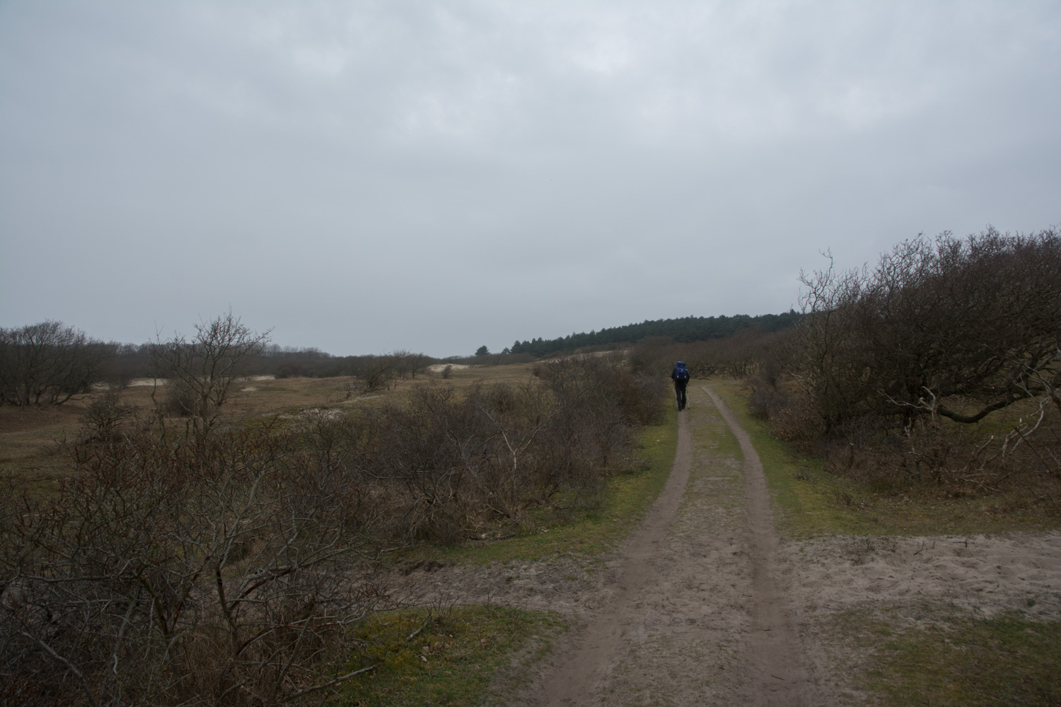 117. Duinen