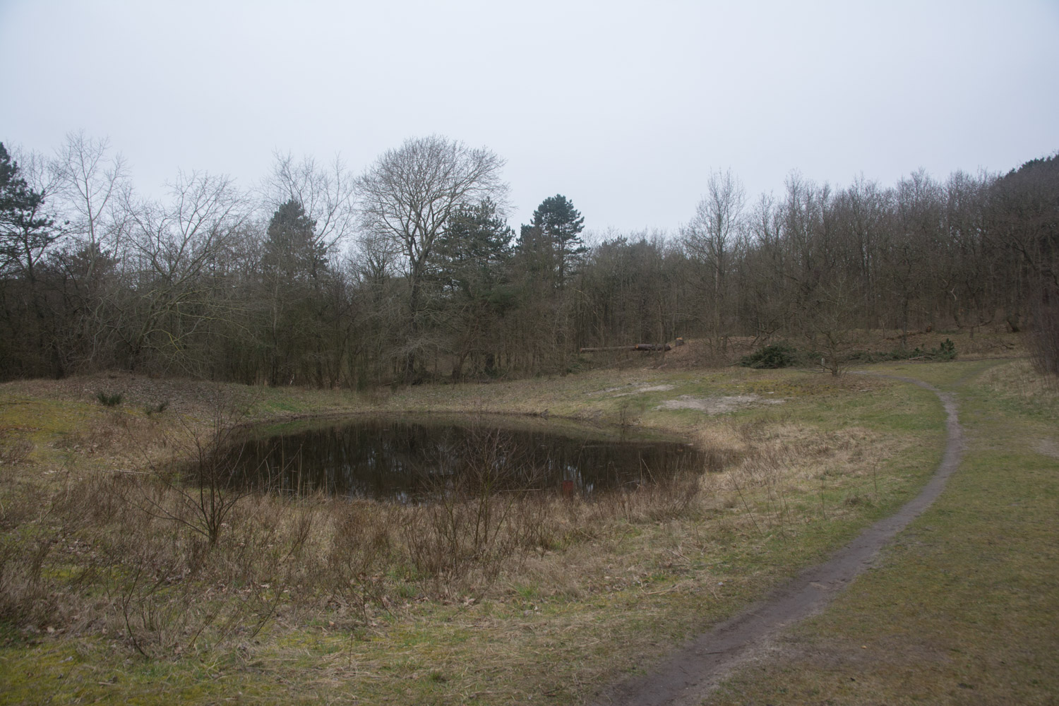121. Meertje