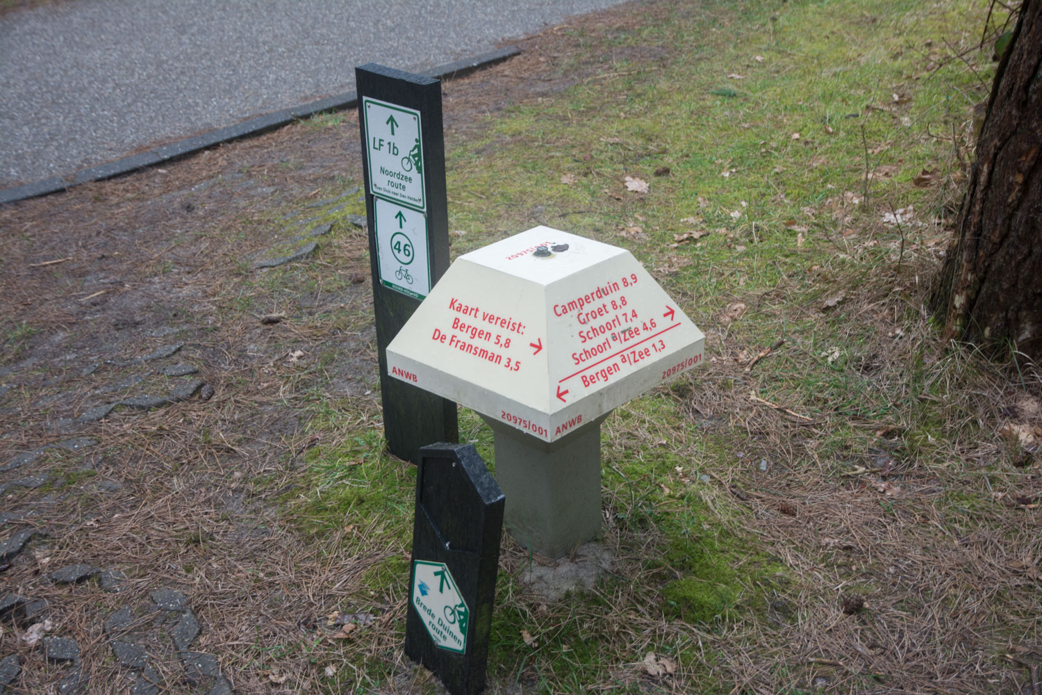 123. Paddestoel