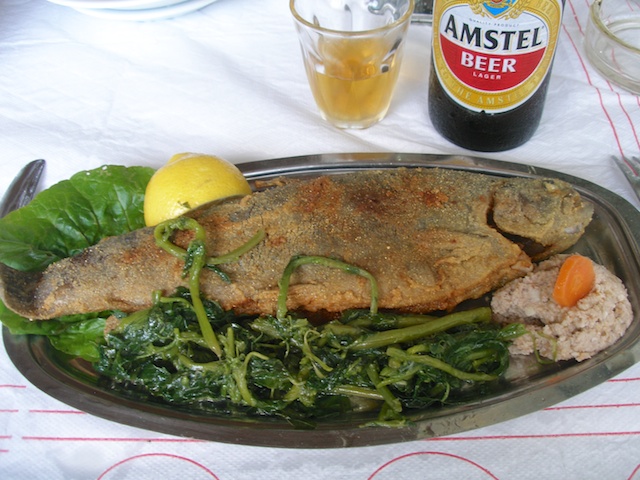 159. Forel