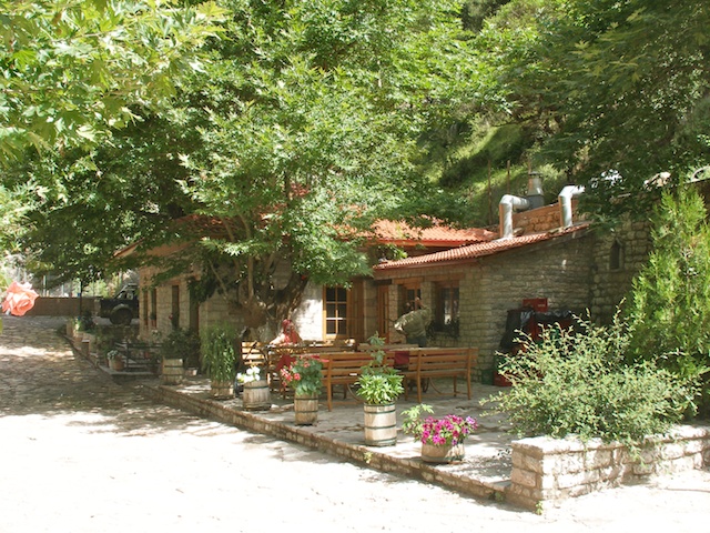 241. Taverna