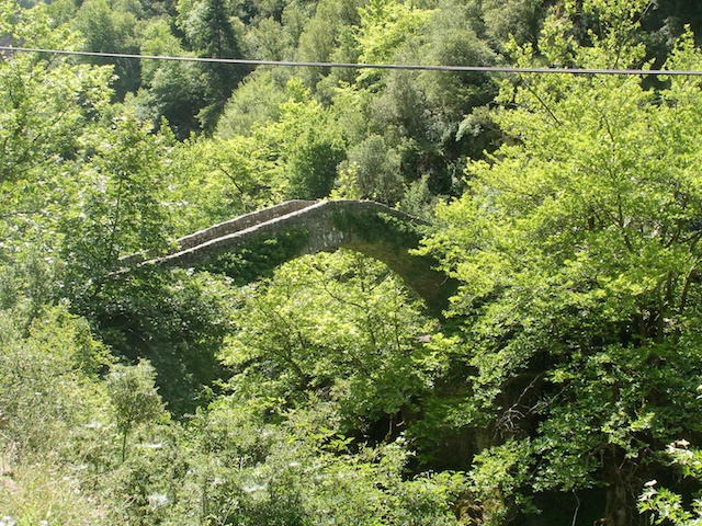 245. Brug