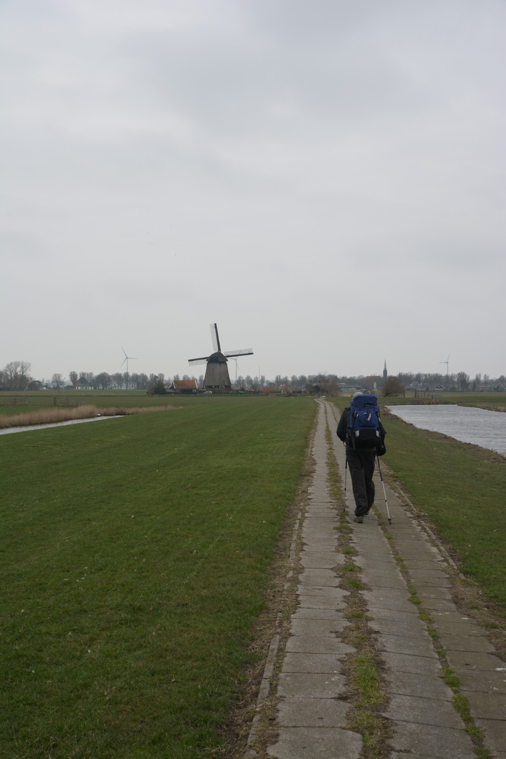 28. Zuid-schermer