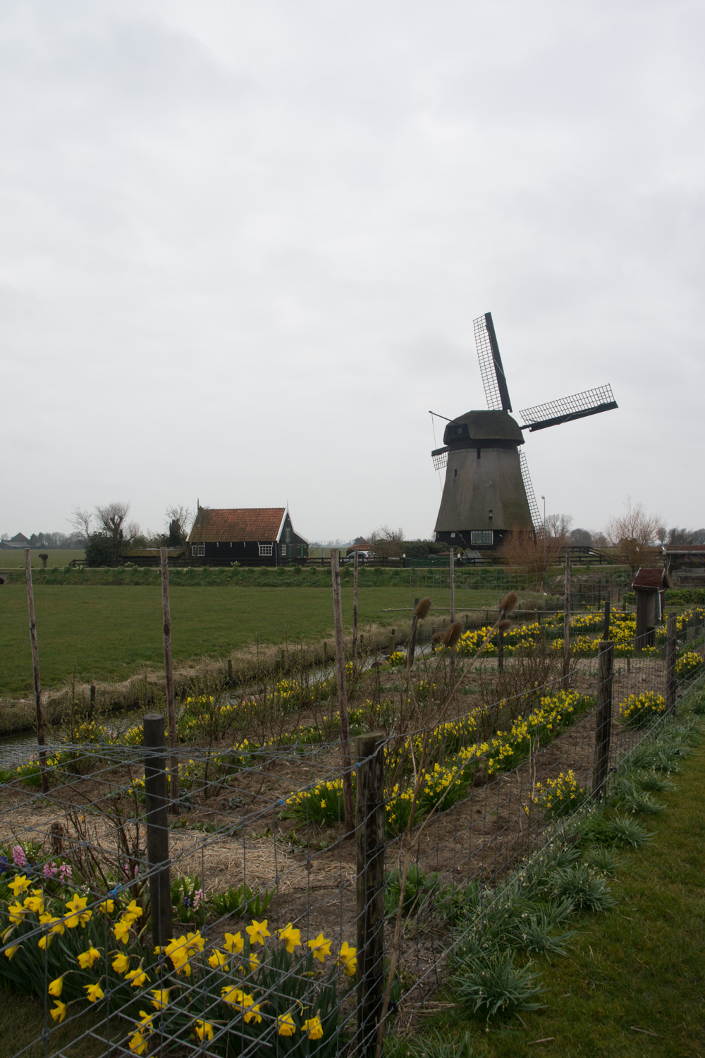 29. Molen