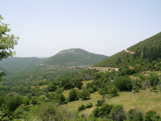 295. Pindus