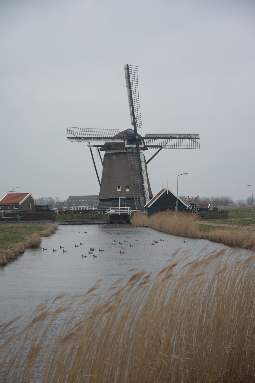 42. Noordermolen