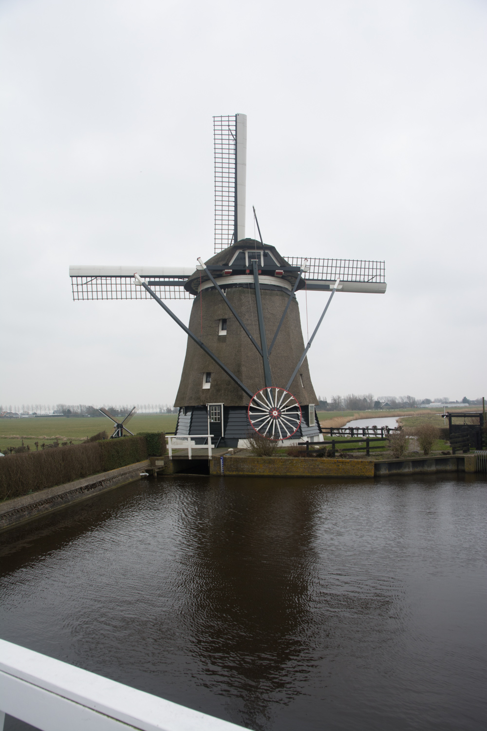 43. Noordermolen