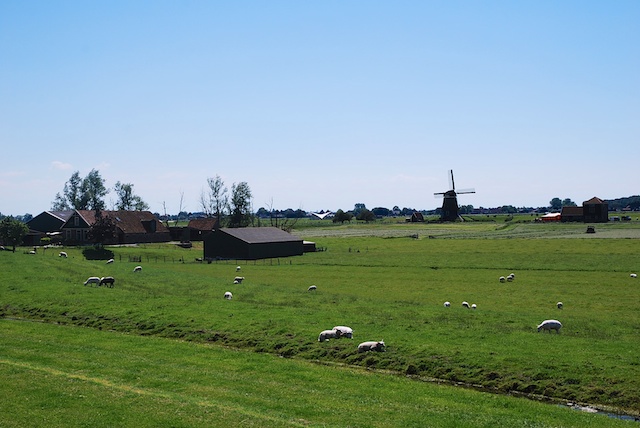 48. Landschap