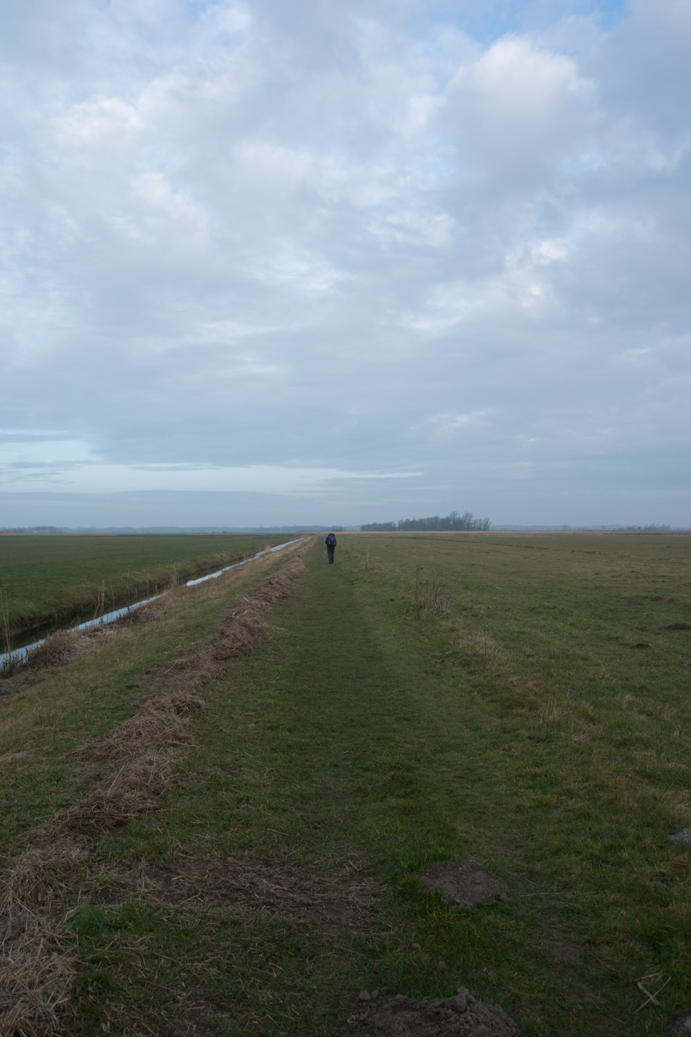 71. Grasdijk