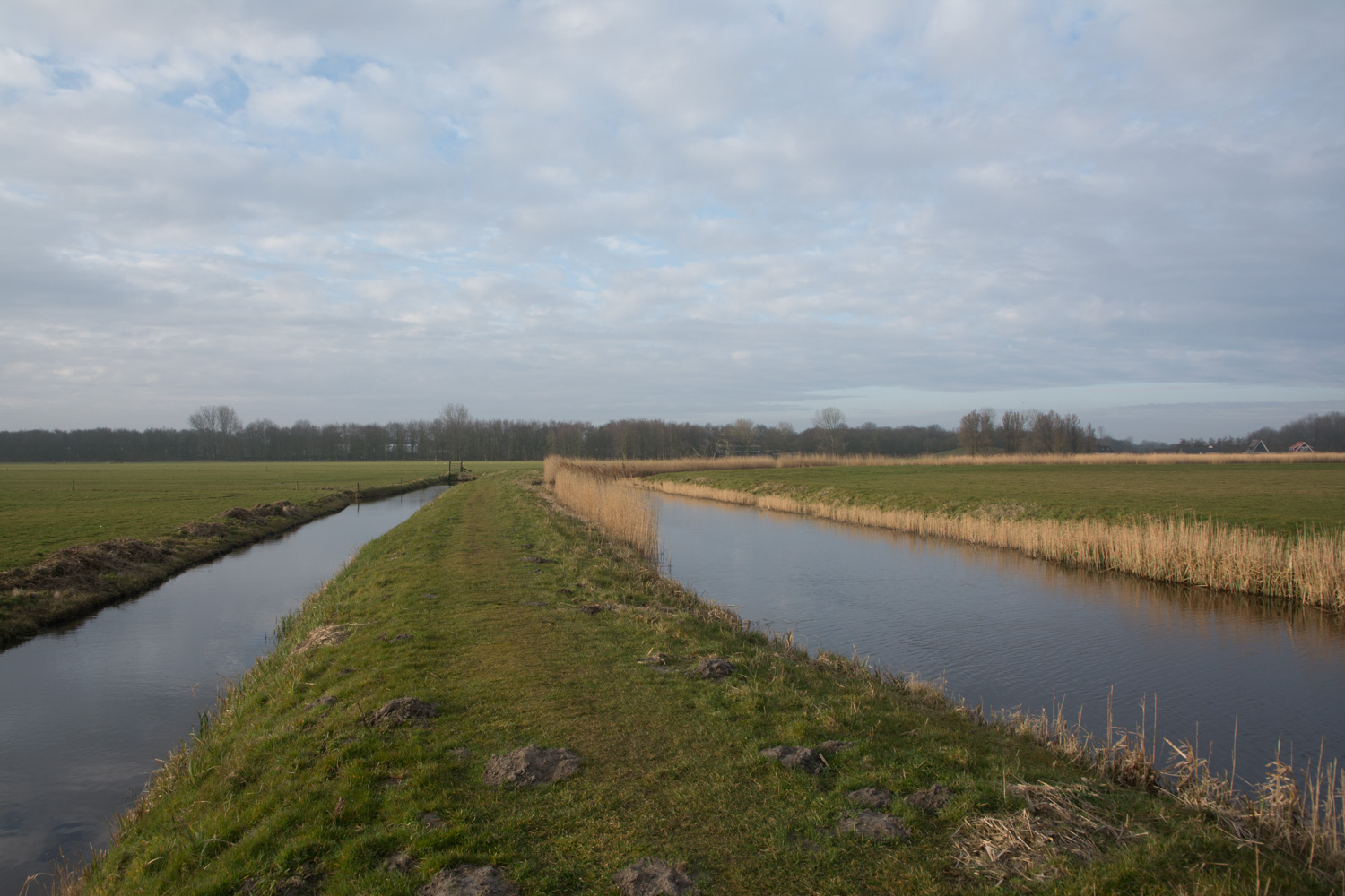 73. Grasdijk