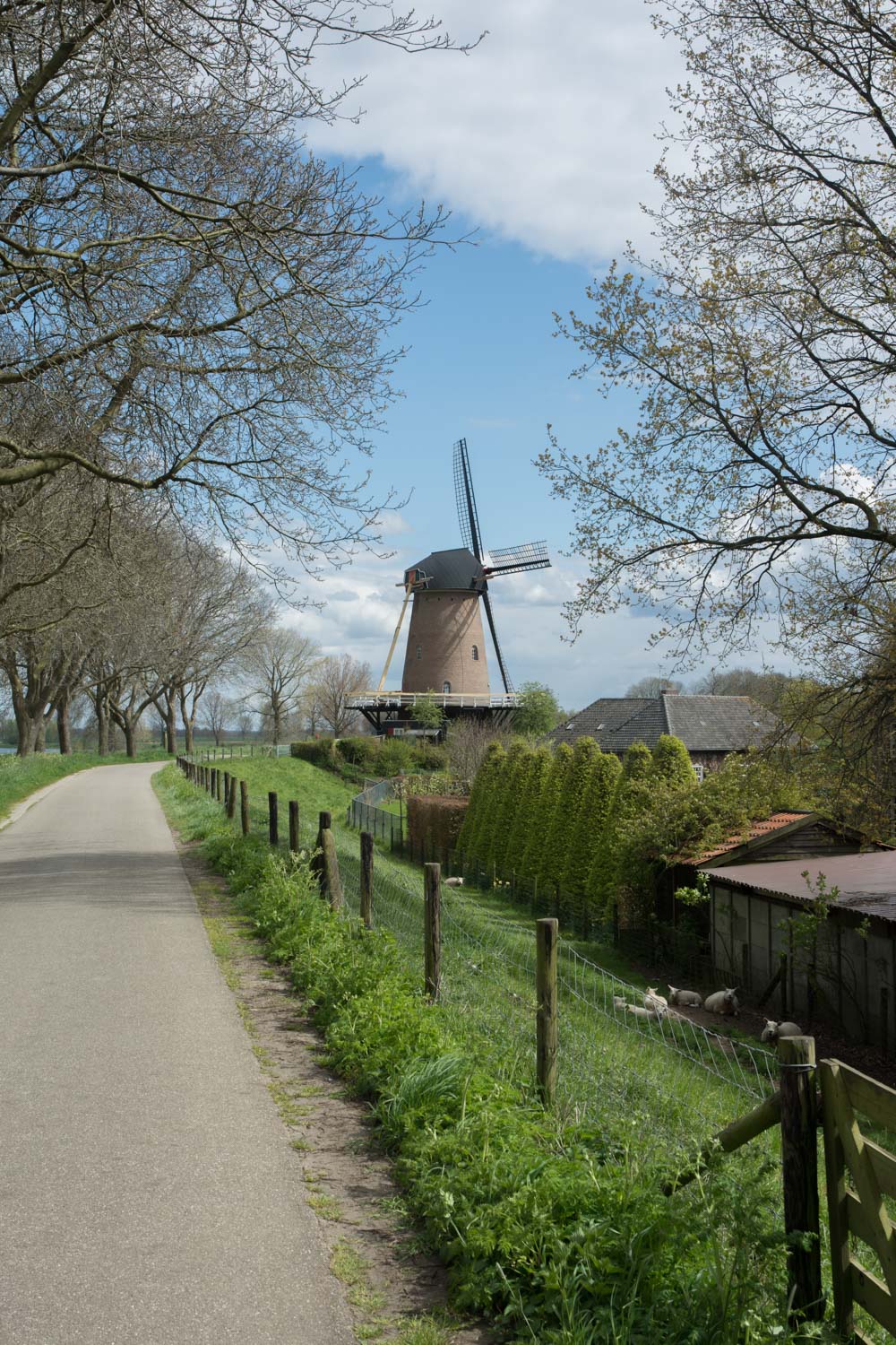 105. Molen