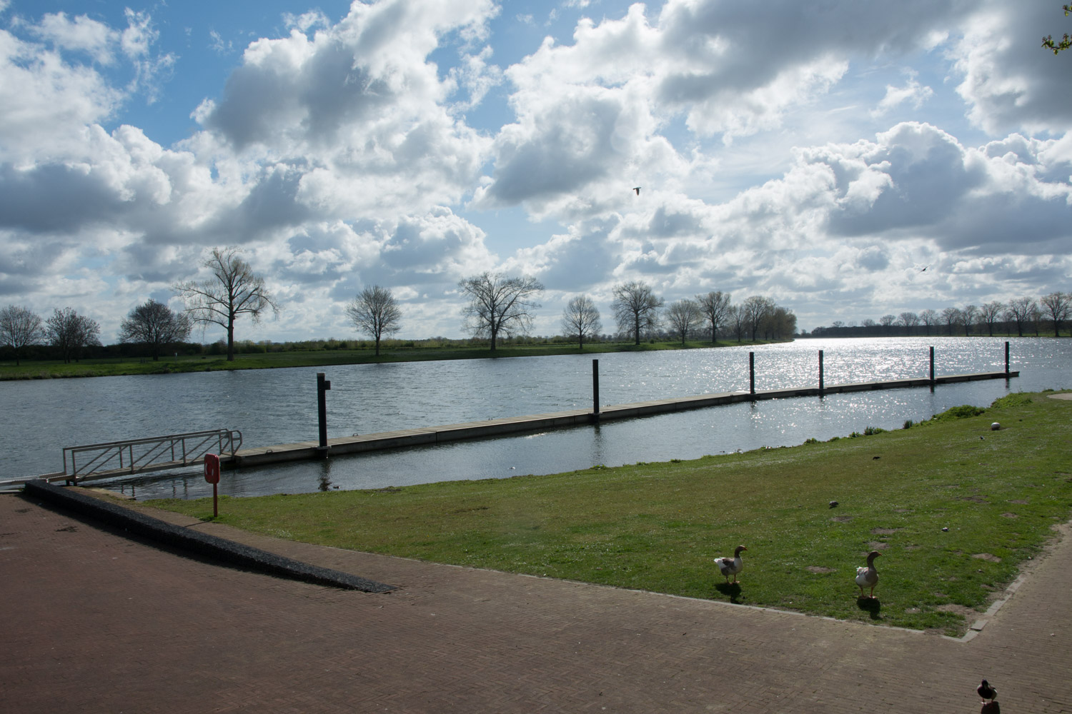 141.Maas